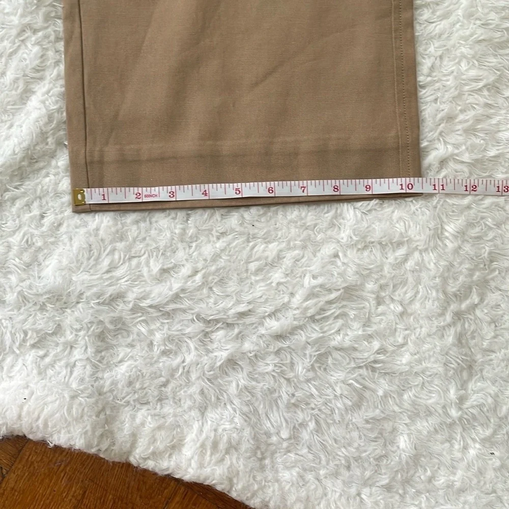 Everlane Stylish Tan Wide-Leg Pants